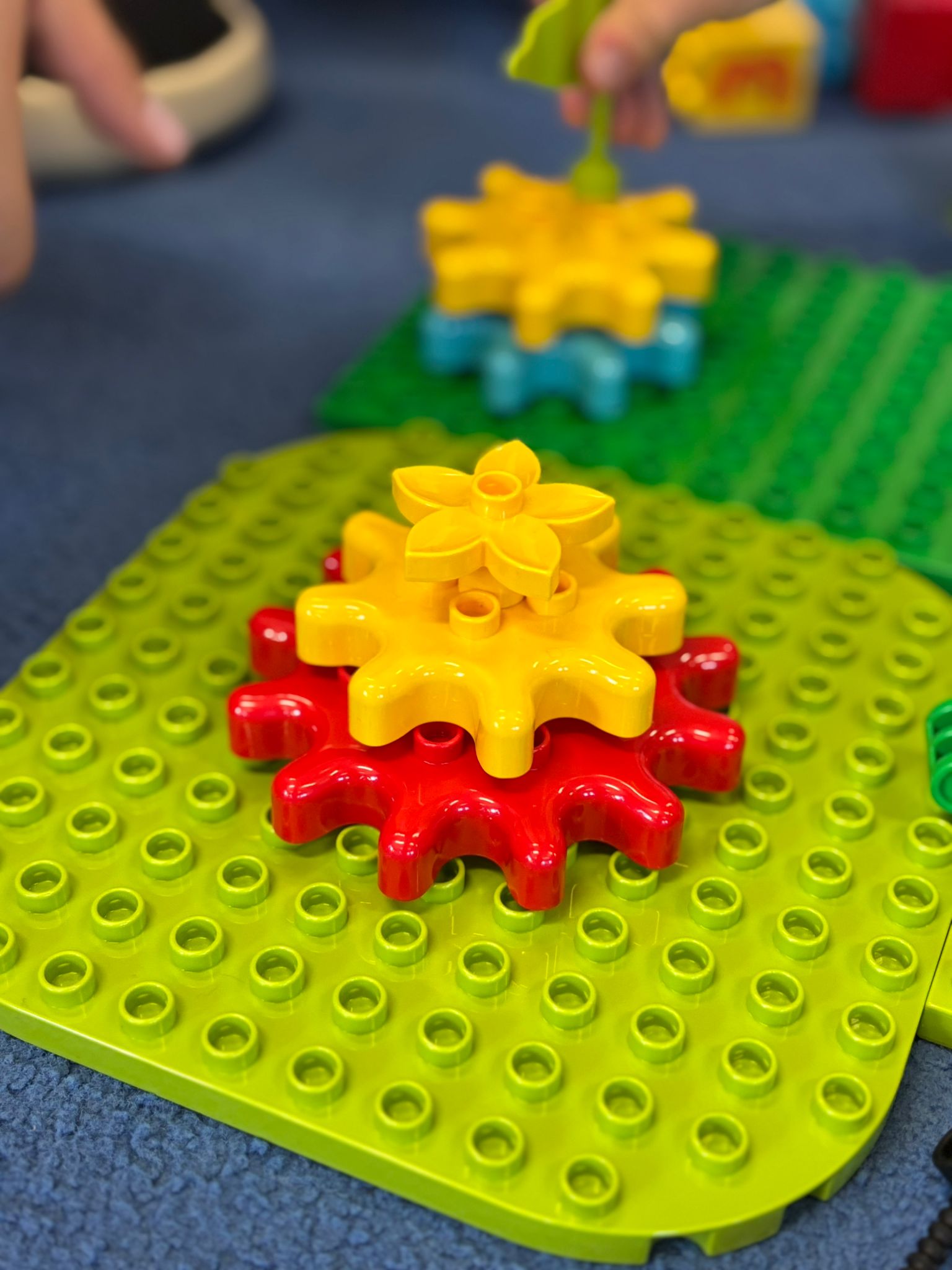 Webinar dla placówek, które chcą wiedzieć więcej o programie Podwodny świat!